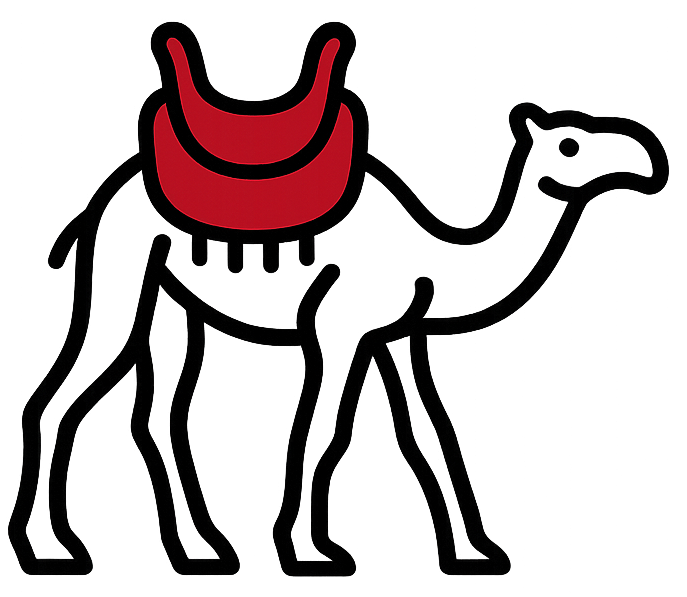 Camel Safari